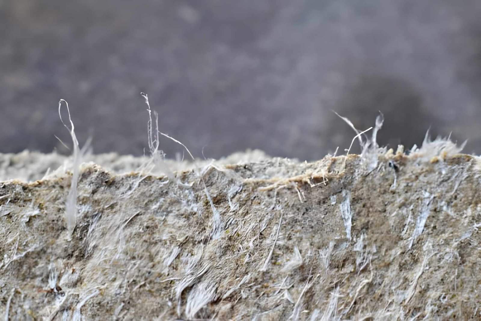 Detailed photography of asbestos roof covering